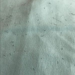 Meet your Posher, Max